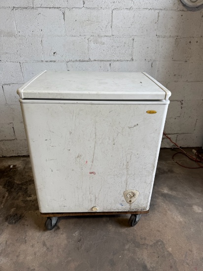 Ewave EWCF5W 29" White Chest Freezer
