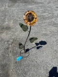 yard sunflower