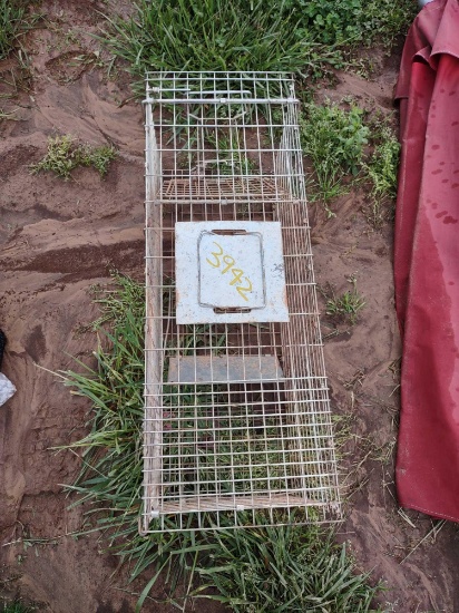 LIVE SMALL ANIMAL TRAP