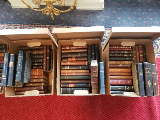 Large lot, 19th/20th Century Danish/Scandinavian Antiquarian Books (3 boxes)