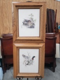 Pair of 2 Framed German Duck Prints - Teal & Wild Duck - lithograph signatures unreadable