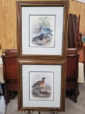 Pair of 2 Framed Duck Prints, Artist Initials may be J G K