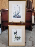 Pair of Bird Prints, Field Sparrow, Yellow Bellied Sapsucker, in gilt frames, 21.5