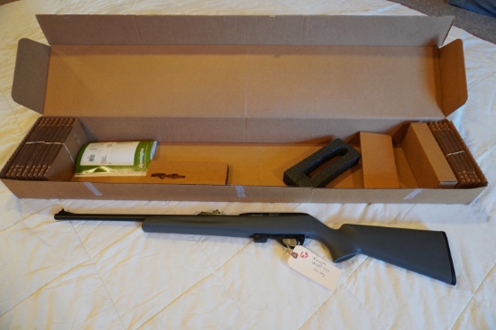 Remington Model 597 .22 Long