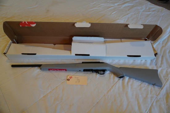 Ruger 10-22 .22 LR