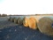 4x5 Net Wrap Hay Bales