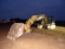 Cat 320C Excavator w/ Bucket Thumb