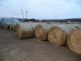 52 Bales 4x5 Net Wrap Hay