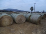 26 Bakes 4x5 Net Wrap Hay