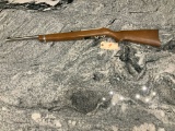 Rueger 1022 Rifle 22
