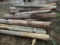 Wood Posts