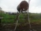 300 Gal Fuel Tank on Stand