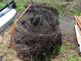 Barb Wire
