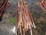 T-Posts