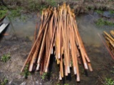T-Posts