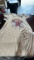 ~50 T,shirt Dresses