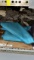 Sky Blue Hair Leather