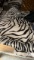 Zebra Thin Line Leather