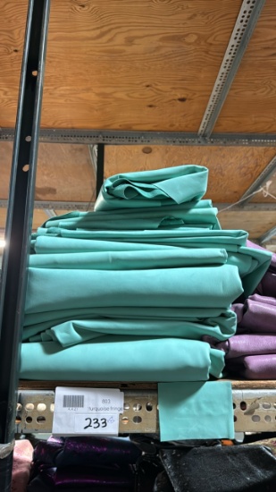 Turquoise Fringe Leather