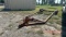28ft Trailer Frame