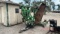 Woods Batwing Finish Mower