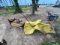 New Holland 452 Disc Mower