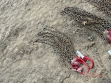 2 chain riggers