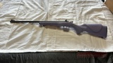Cricket .22 Rifle