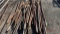T posts - barbed wire - fence stays