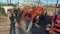 Kubota L245DT Tractor