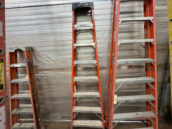 Werner 8ft A Frame Ladder