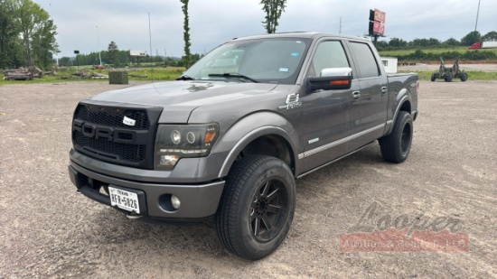 2013 Ford F150 Platinum