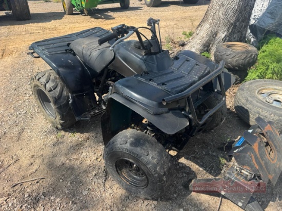 Yamaha Timberwolf 250 4 Wheeler
