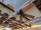 Ceiling Fans