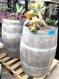 Barrel Planters