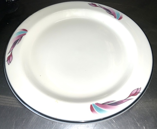 9" Dinner Plates