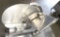 Meat Slicer