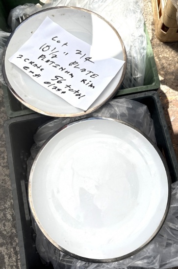 10 1/2" Platimum Rim Plates