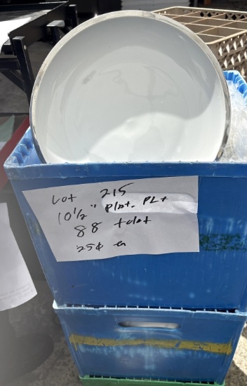 10 1/2" Plates