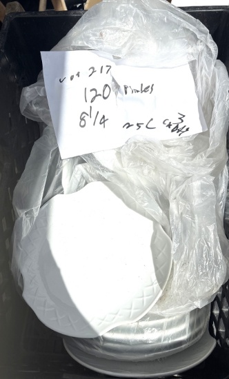 8 1/4" Plates