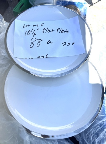 10 1/2" Platinum Rim Plate