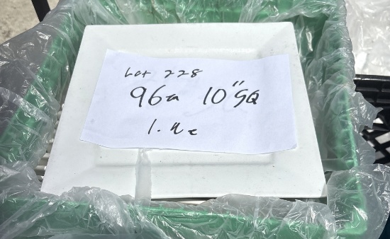 10" Square Plates