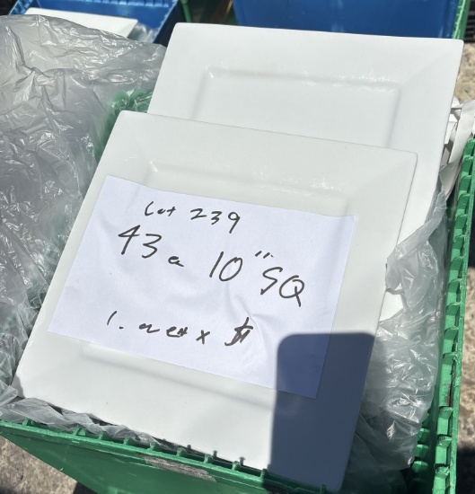 10" Square Plates