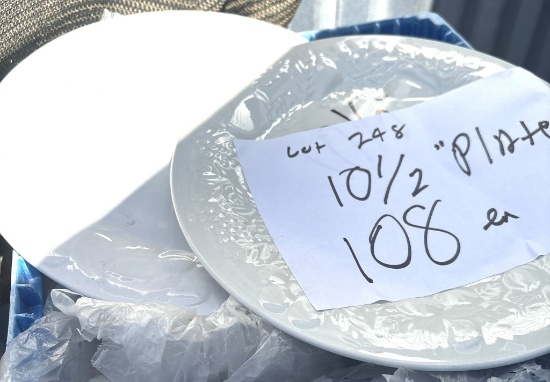 10 1/2" Plates