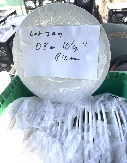 10 1/2" Plates