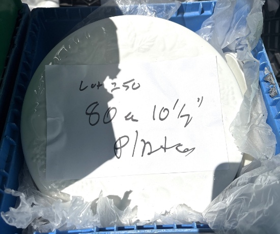 10 1/2" Plates