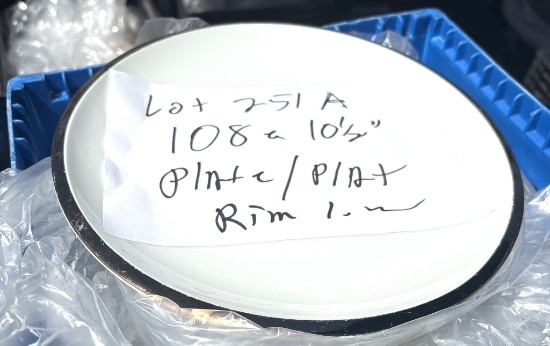 10 1/2" Platinum Rim Plates