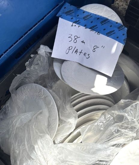 8" Plates