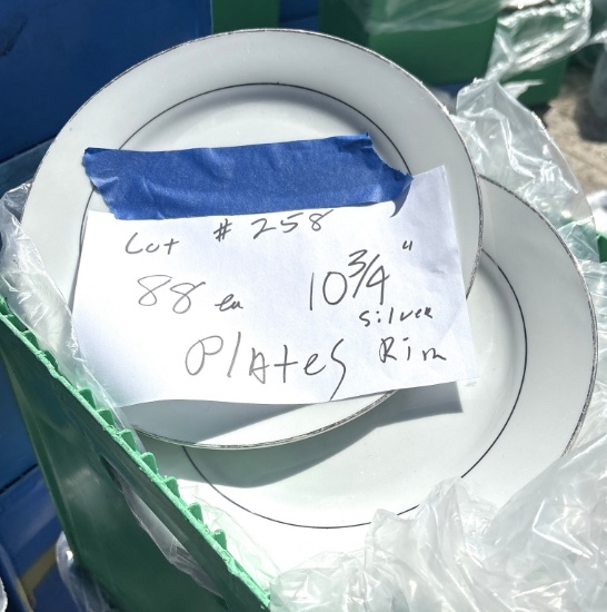 10 3/4" Silver Rim Plates
