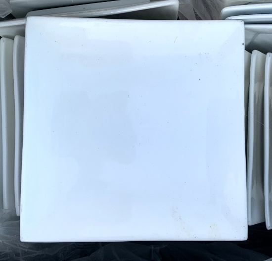 8x8" Square Plates